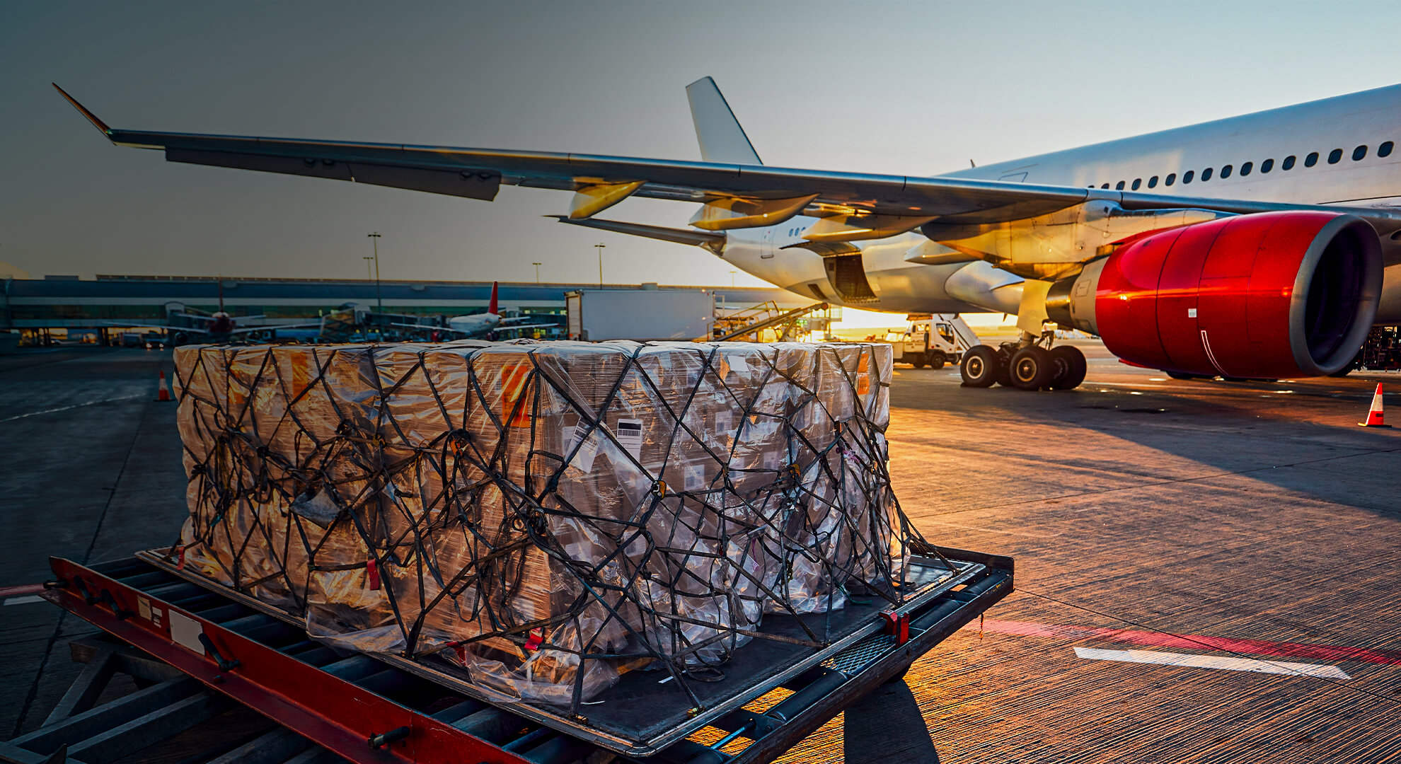 Rapid Air Cargo Freight Services