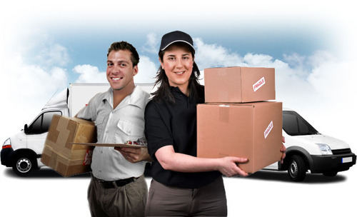 Domestic Courier Services in Gurgaon